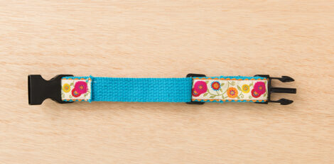 fabric threaded through all pieces of a parachute buckle